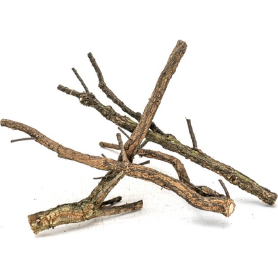 Invital Korkové vetvy premium rozvetvené 30-60 cm