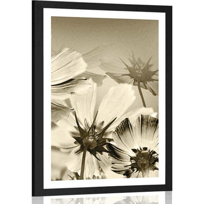 Plakát s paspartou zahradní květiny v sépiovém provedení - 40x60 white