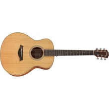Taylor GS Mini-e LTD