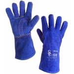 CXS PATON BLUE