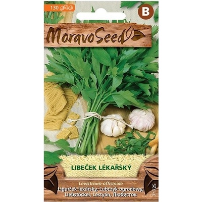 MORAVOSEED CZ Libeček lékařský