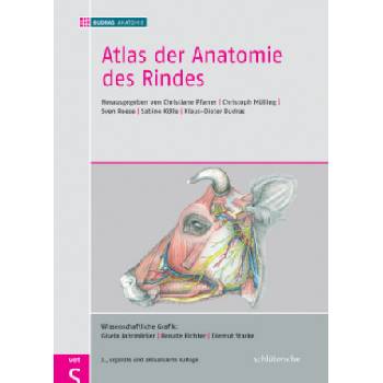Atlas der Anatomie des Rindes | Christoph Mülling, Sven Reese, Klaus-Dieter Budras