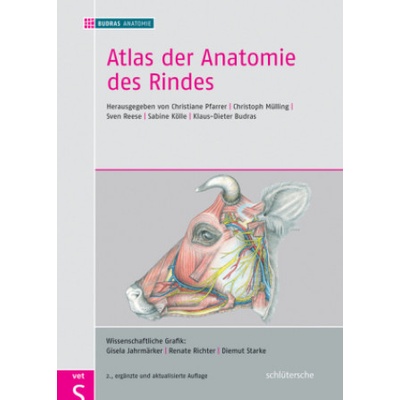 Atlas der Anatomie des Rindes | Christoph Mülling, Sven Reese, Klaus-Dieter Budras