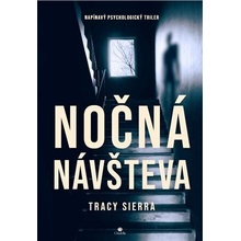 Nočná návšteva