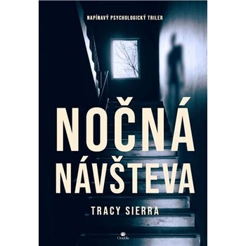 Nočná návšteva
