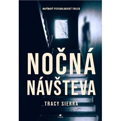Nočná návšteva