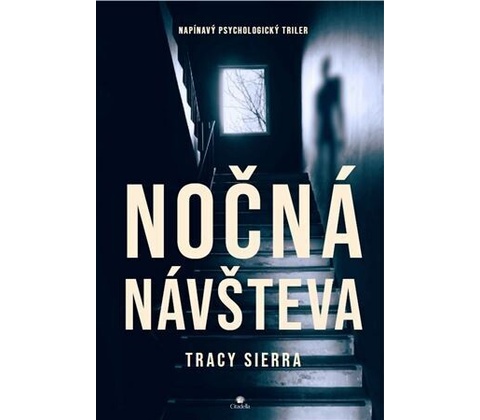Nočná návšteva