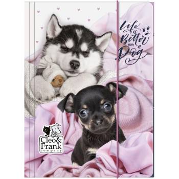 Image 1 of DERFORM - Папка с ластик CLEO & FRANK 38