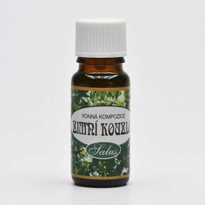 Saloos Vonný olej do aromalámp Zimní kouzlo 10 ml