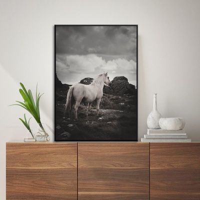 Decono Картина Бял Кон в Планината