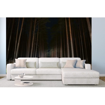 DIMEX ART s. r. o Самозалепваща се флизелинова фототапета нощен изглед към пътя 375 x 250 см