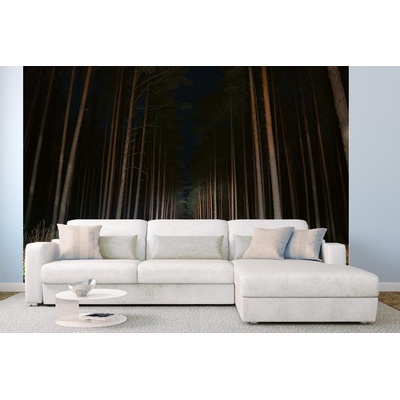 DIMEX ART Самозалепваща се флизелинова фототапета нощен изглед към пътя 375 x 250 см