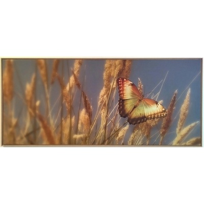 Bondecor Obraz, MDF rám, SHADOW Butterfly 59 x 134 cm