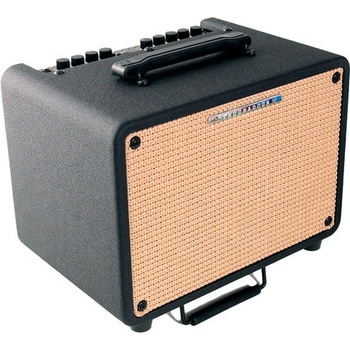Ibanez T 30
