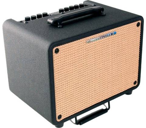 Ibanez T 30