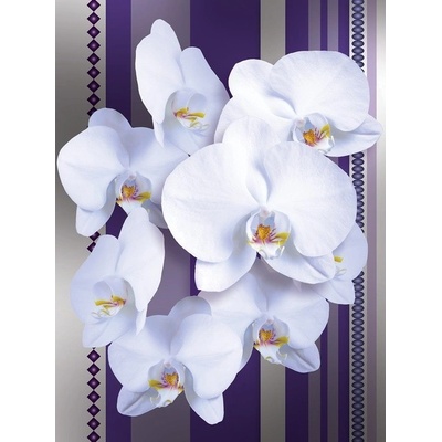 Preinterier Fototapeta panel - PL0107 - Biele kvety na fialovom pozadí vlies - 206cm x 275cm