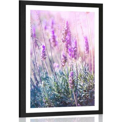 Plakát s paspartou kouzelné květiny levandule - 30x45 black