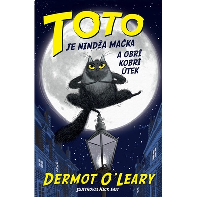 Toto je nindža mačka a obrí kobrí útek - Dermot O Leary