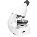 Discovery Micro Polar