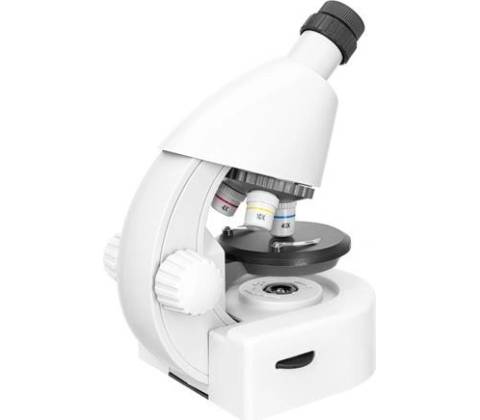 Discovery Micro Polar