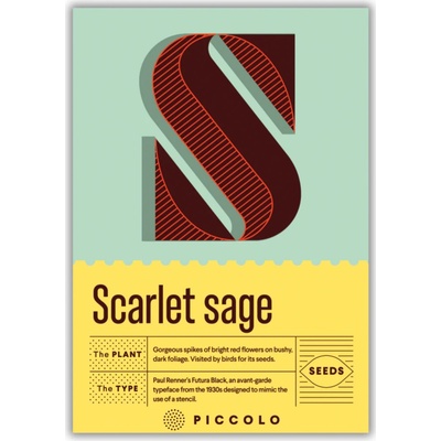 Piccolo Seeds S Scarlet sage Šalvia šarlátová 1 bal.