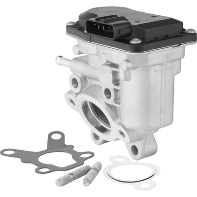 BorgWarner AGR ventil BGW 729015D