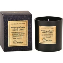 LOTHANTIQUE Les Secrets D`Antoine 140 g
