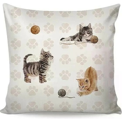 Matějovský Mačky 40 x 40 cm