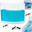 KIK Ant Quarium Domáce mravenisko modré