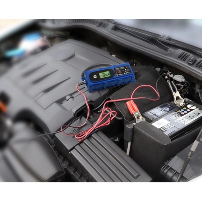 Compass 4Amp 6/12V PB/GEL 120Ah