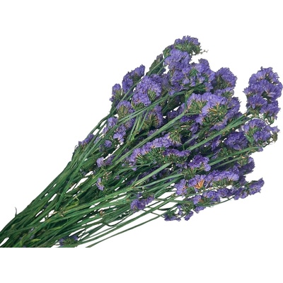 Stabilizované kvety Statice Limonium sinuata 120g - tmavé fialové
