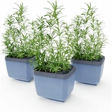Gusta Garden GG-122F11