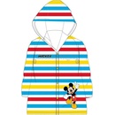 Eexee Mickey Mouse