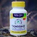 Healthy Origins Pycnogenol 150 mg x 60 kapslí