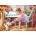 Anatolian - Puzzle Ballerina with her puppy - 1 000 piese