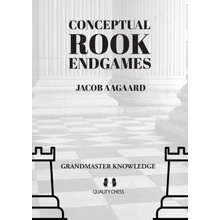Conceptual Rook Endgames