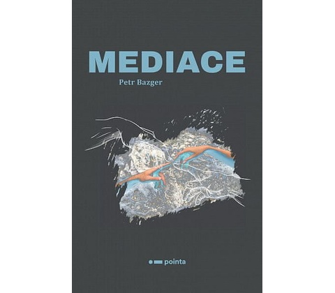 Mediace