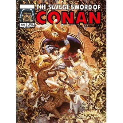 Savage Sword Of Conan: The Original Comics Omnibus Vol.8