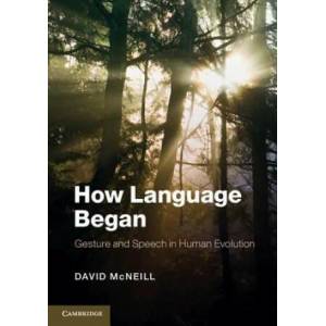 How Language Began | David McNeill (ISBN: 9781107605497)