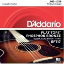 DAddario EFT17