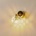 Argon 4462