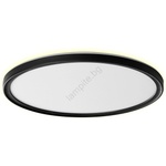 PREZENT 27317 -LED Таванно осветително тяло за баня CORDIA LED/30W/230V IP54 Ø 50 cm черно (27317)
