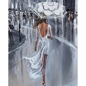  Картина за рисуване по номера 40 х 50 см. r735