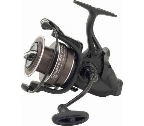 Ryobi Caspro FS 5500
