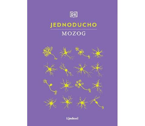 Jednoducho - Mozog