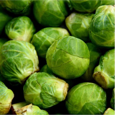 Kapusta růžičková Dolores F1 - Brassica oleracea var. gemmifera - semena kapusty - 40 ks