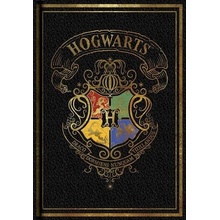 Blue Sky Studios Zápisník Harry Potter Colorful čierny A5