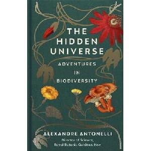 Hidden Universe | ANTONELLI, ALEXANDRE (ISBN: 9781529109160)