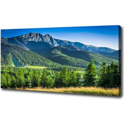 Moderný obraz canvas na ráme Skokanský mostík Tatry 100x50 cm