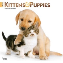 Kittens & Puppies 12 X 24 Inch Monthly Square Wall Foil Stamped Cover Plastic-Free 2025